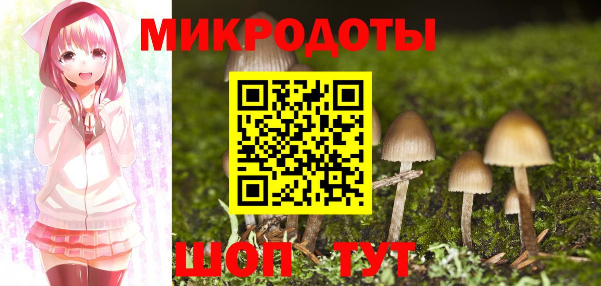 Галлюциногенные грибы Psilocybe Великий Новгород